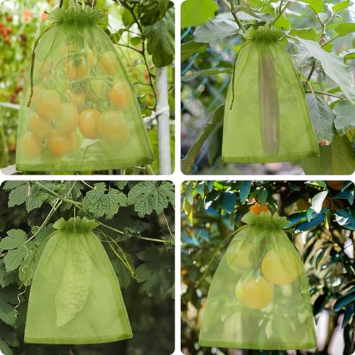 Detalle de LINSOCLE Bolsas para Uvas en Parra 30x40cm (50 Piezas) – Protección Transparente y Reutilizable para Uvas, Frutas y Semillas