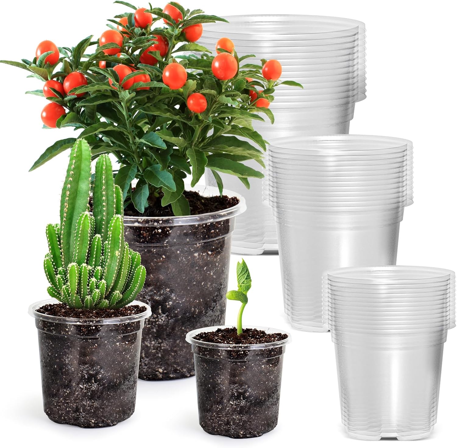 Detalle de Bluepro Clear Nursery Pots, 36-Pack in 3.5-, 4- and 5-Inch Sizes