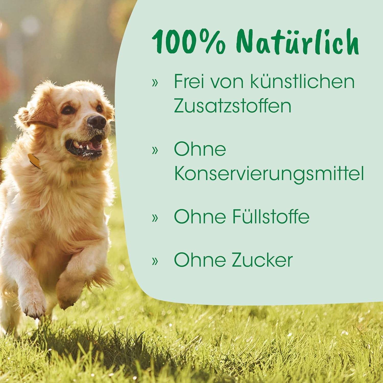 Thumbnail 5 de cdVet HarnwegeMix 30 g Ergänzungsfuttermittel 🐾