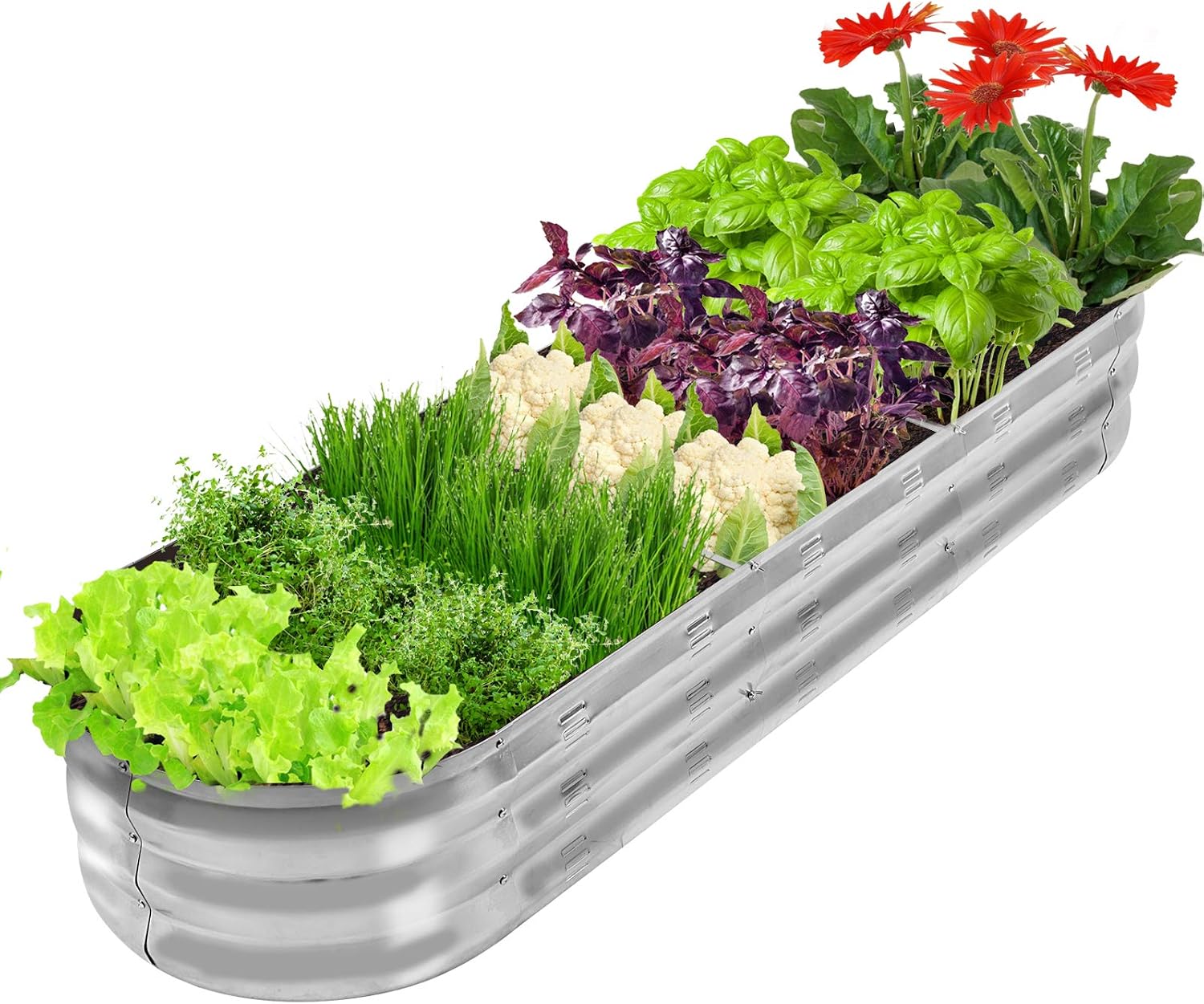 Thumbnail 6 de GADI Raised Garden Bed, 67-Inch