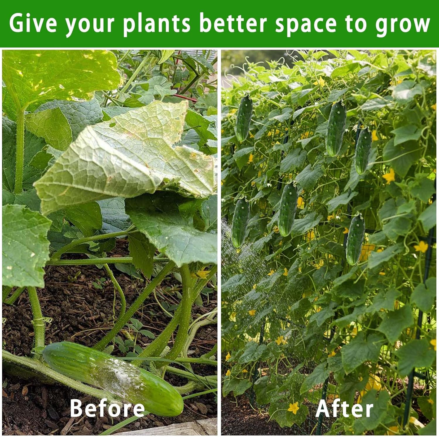 Thumbnail 3 de 163x122cm Cucumber Trellis for Raised Bed with U-Shape Arch