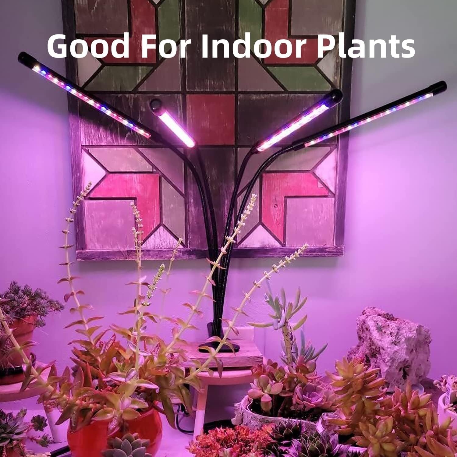 Detalle 2 de LEOTER 100-2025 Indoor Grow Light with 80 LEDs, Timer and Gooseneck