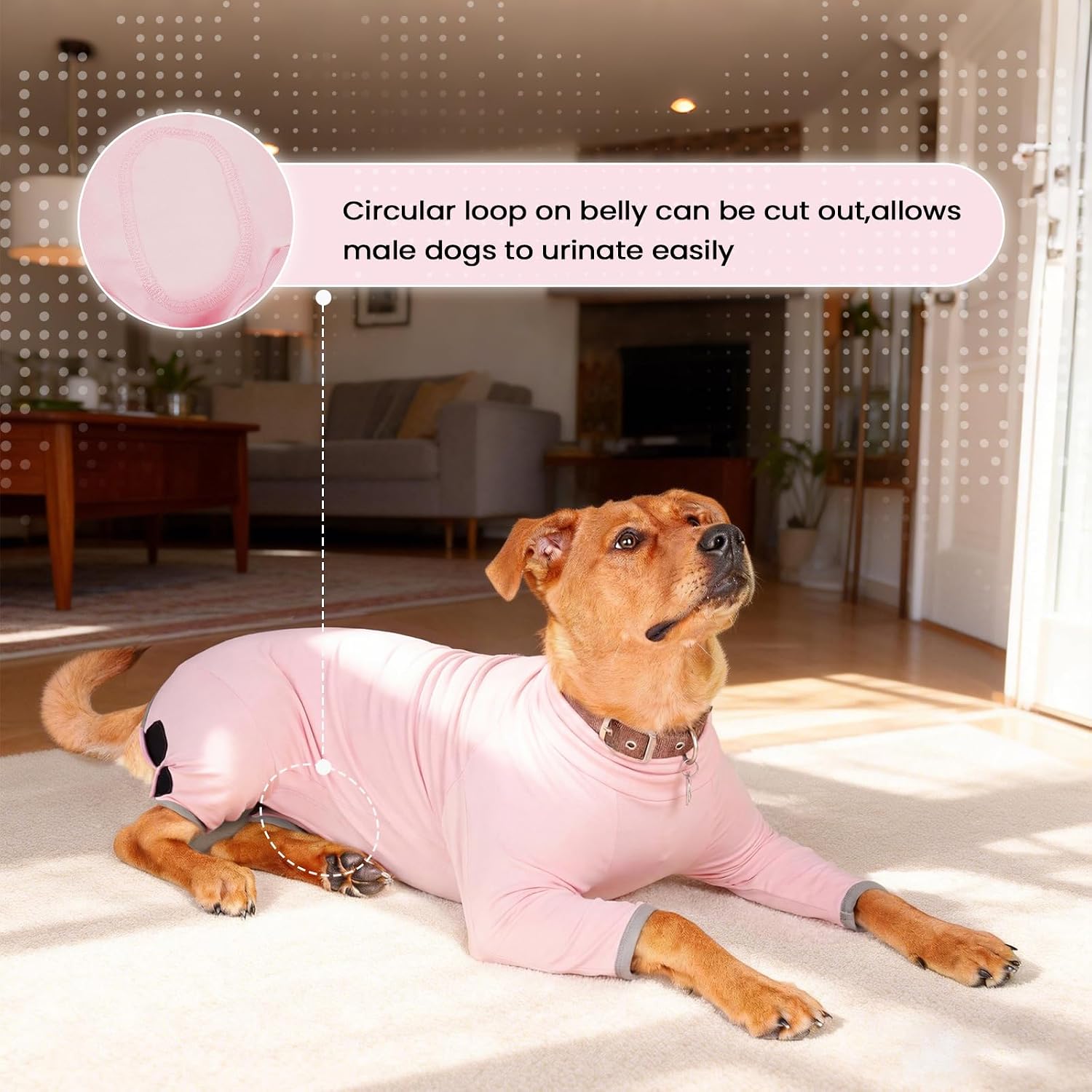 Detalle de IDOMIK Dog Recovery Suit, Small
