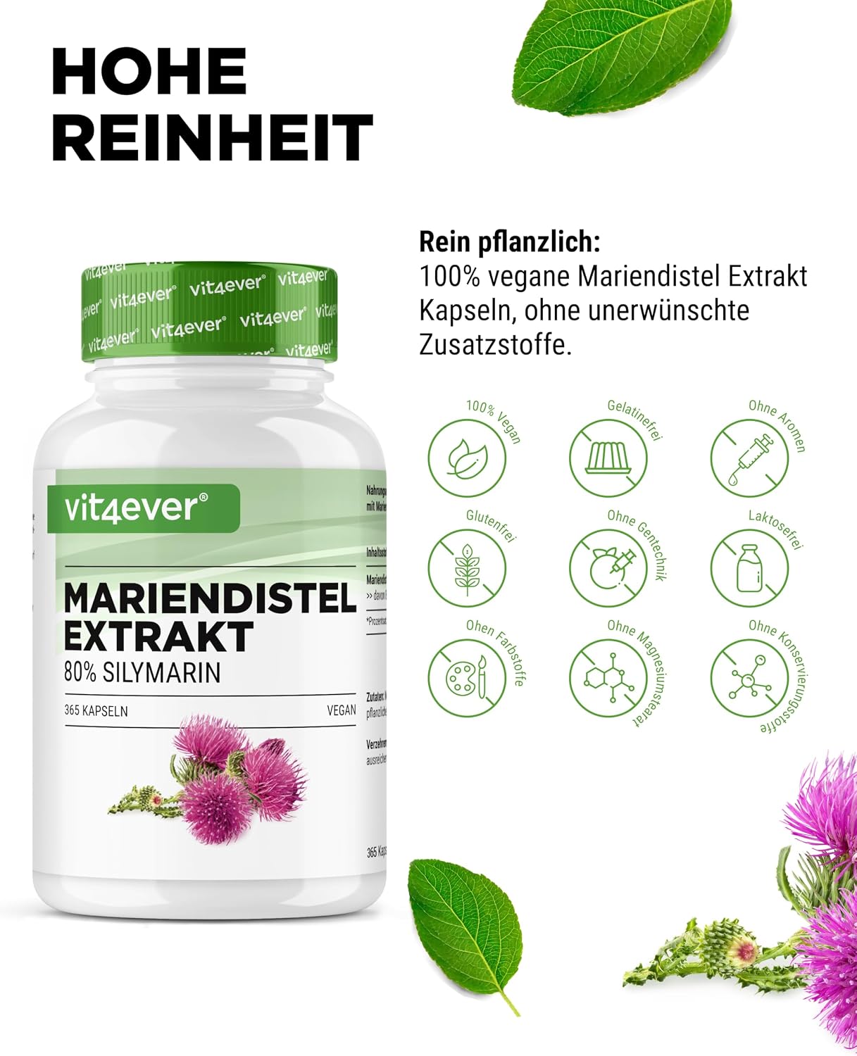 Detalle de Vit4ever Mariendistel Extrakt 365 Kapseln – 500 mg pro Kapsel, 80% Silimarin, vegan, 12 Monate Vorrat