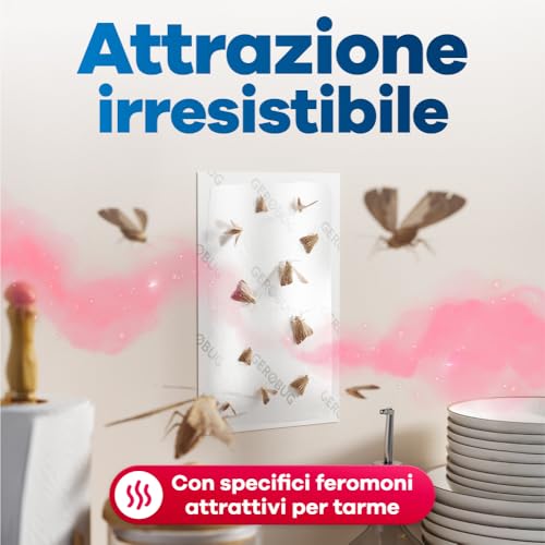 Thumbnail 3 de Gerobug trappole per tarme alimentari da 10 pezzi