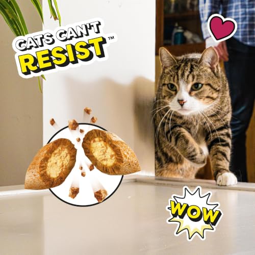 Detalle de Dreamies Cheese Cat Treats 350g (Pack of 2): Crunchy Outside, Soft Centre