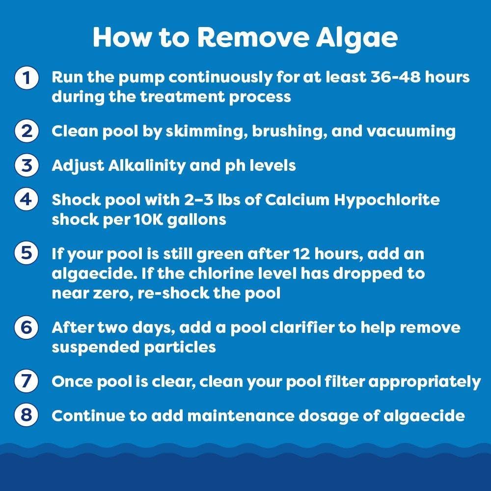 Thumbnail 6 de In The Swim Y1300 Algaecide 60 Plus for Pools, 1 Quart