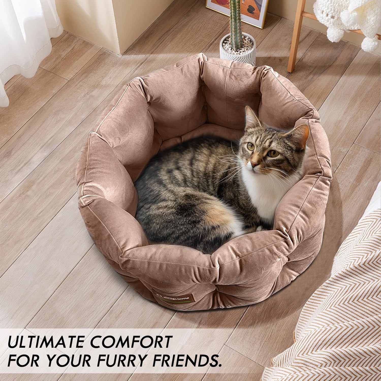 Detalle 2 de ClevaHome Cuccia Deep Nest per Gatti fino a 7 kg – Letto rotondo in velluto beige