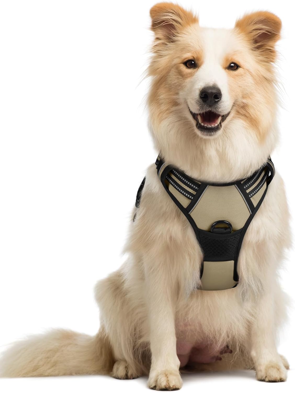 Detalle de Rabbitgoo Medium No Pull Dog Harness with Dual Leash Clips and Easy Control Handle