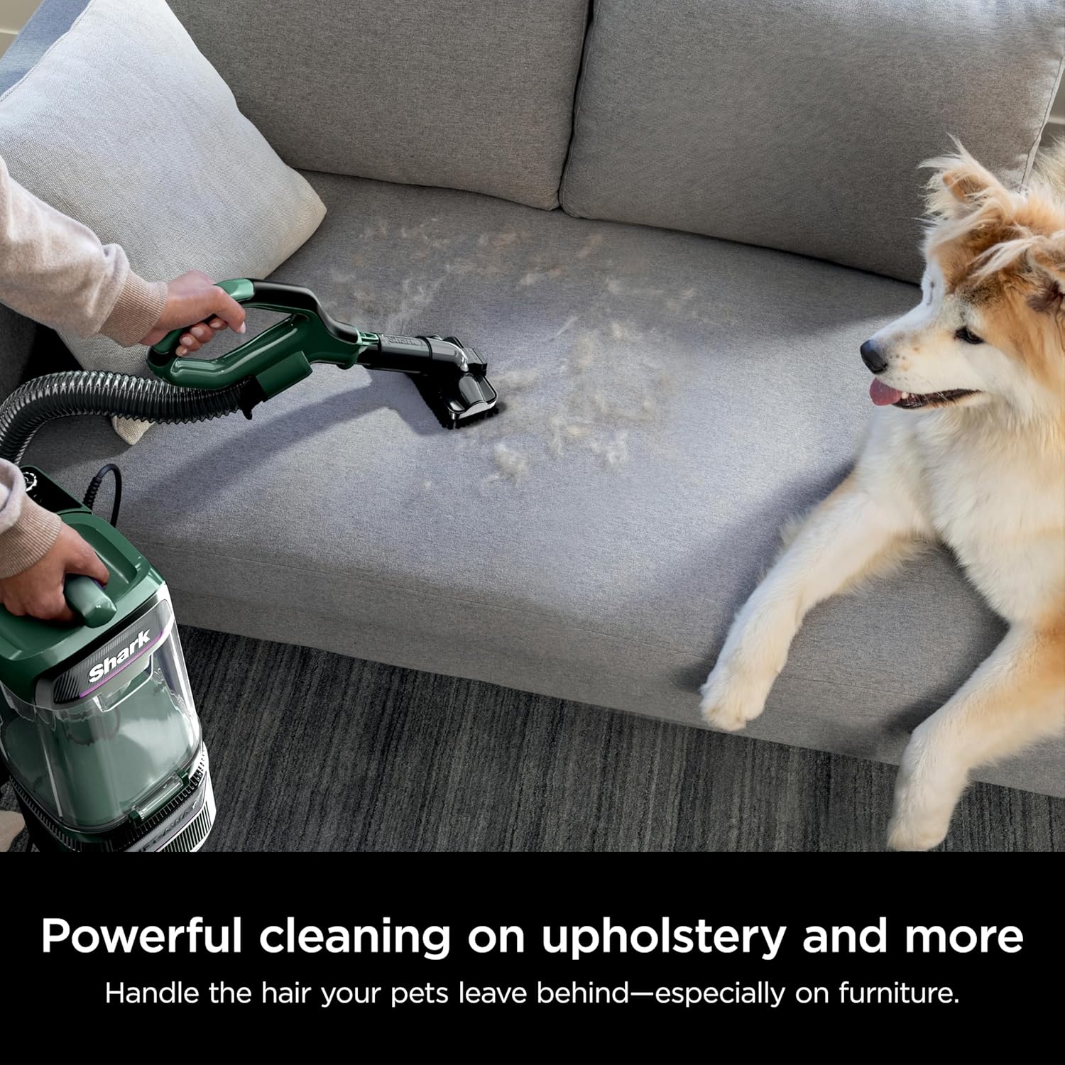 Thumbnail 2 de Shark LA802 Detect Pro Upright Vacuum 2024