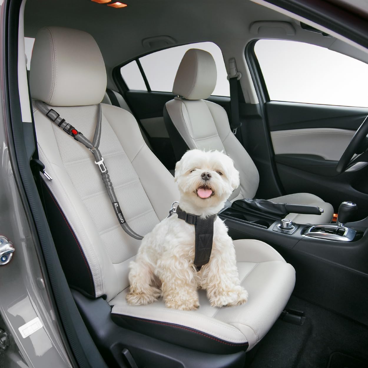 Detalle de Dog Seat Belt Harness for Car – 2-in-1 Leash and Restraint with Adjustable Bungee and 360° Swivel