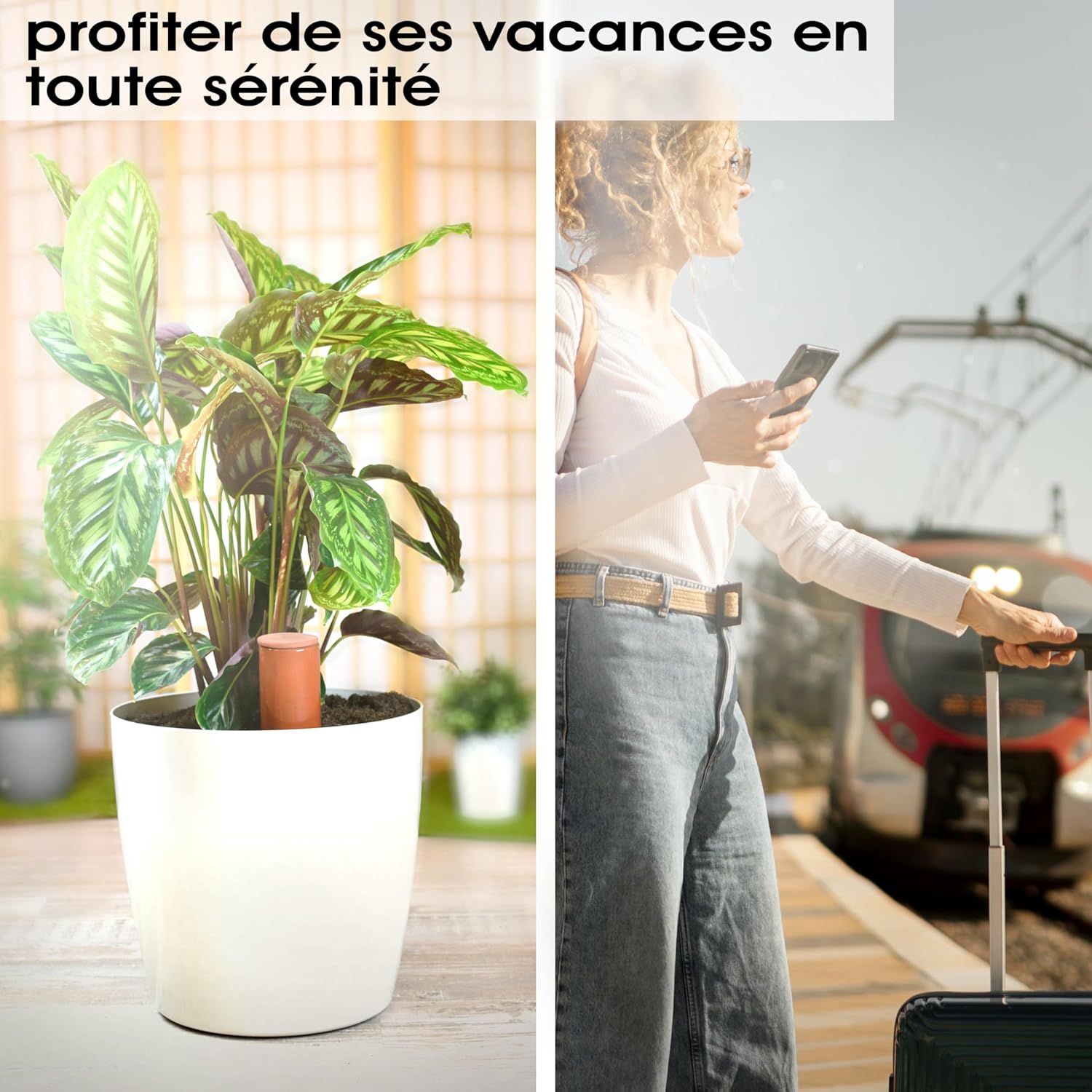 Thumbnail 6 de LIVONDO Arrosoir terre cuite 530 ml 🌷