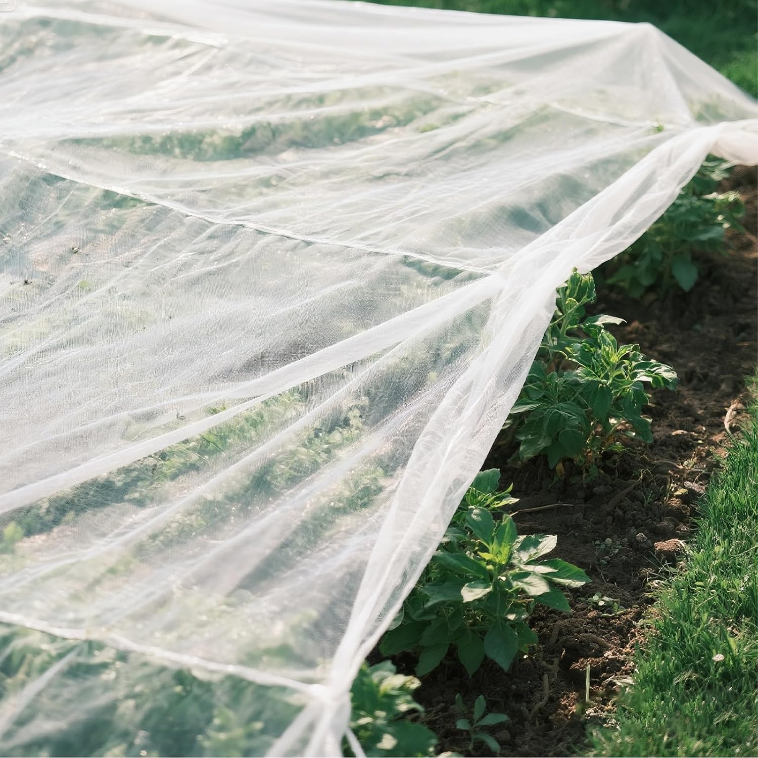 Thumbnail 6 de AOOWU 5020224 Fine Mesh Garden Insect Netting, 3x6m PE Cover
