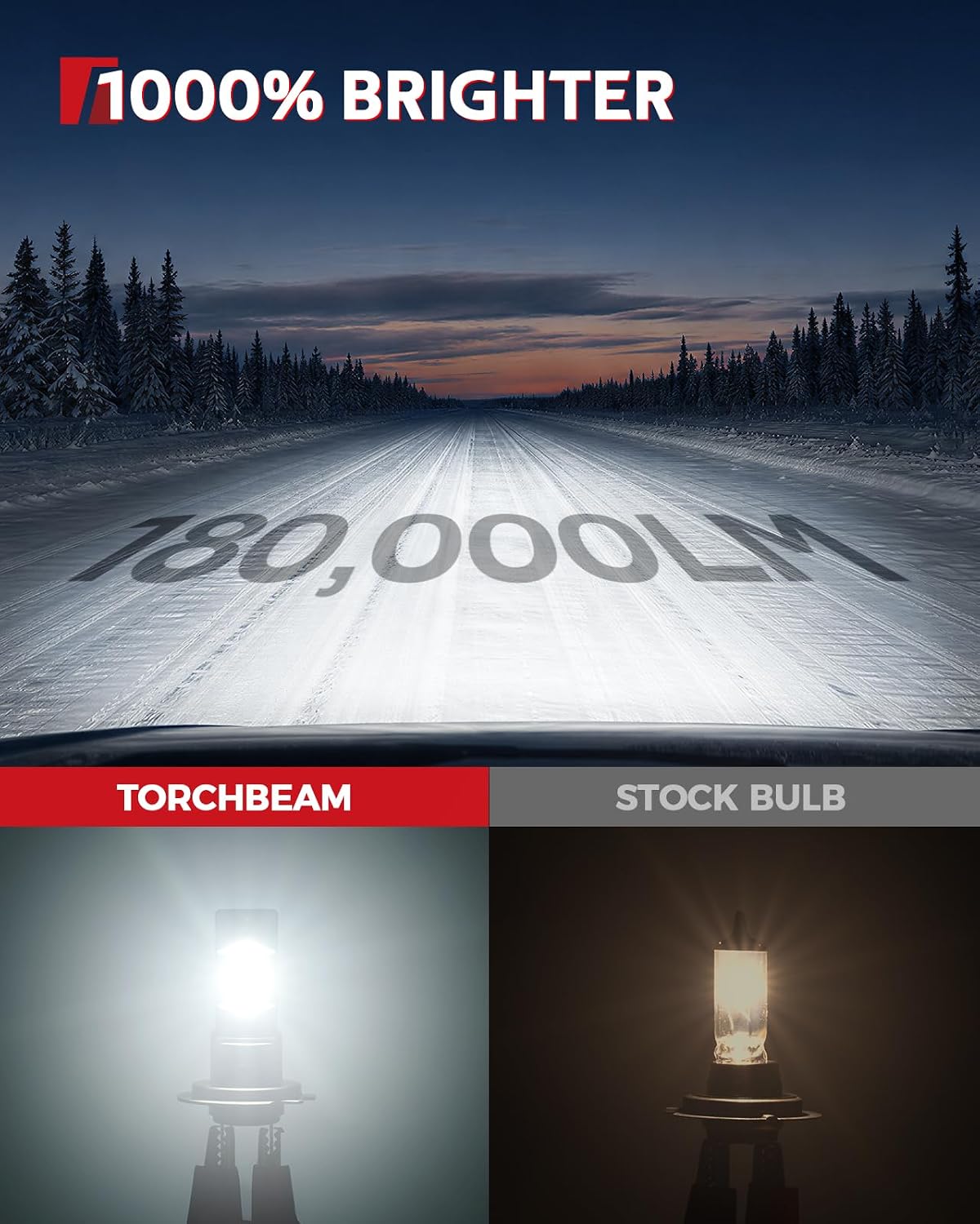 Detalle 2 de Torchbeam LED Fog Bulbs, H1/H7
