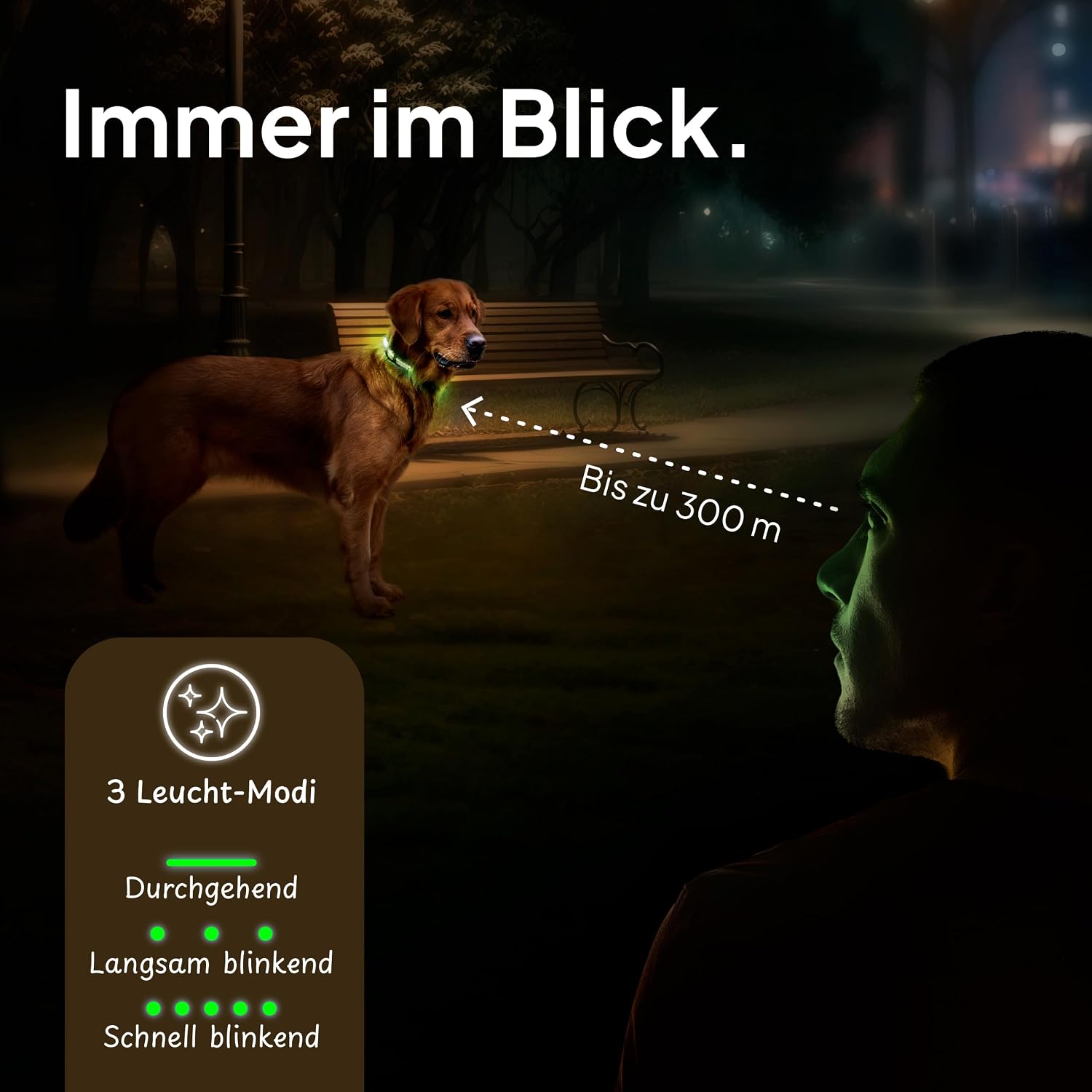 Thumbnail 3 de Tierhood Leuchthalsband Größe L