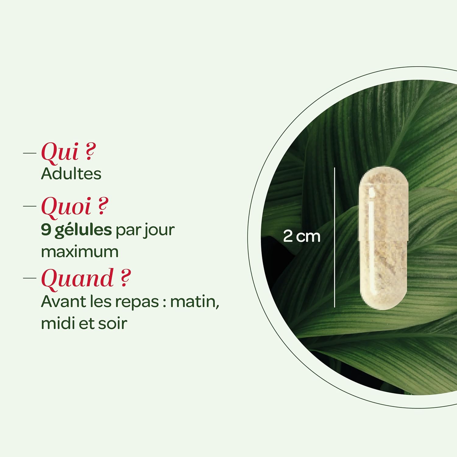 Thumbnail 4 de SUPERDIET CHARDON MARIE BIO 90 gĂ©lules đ