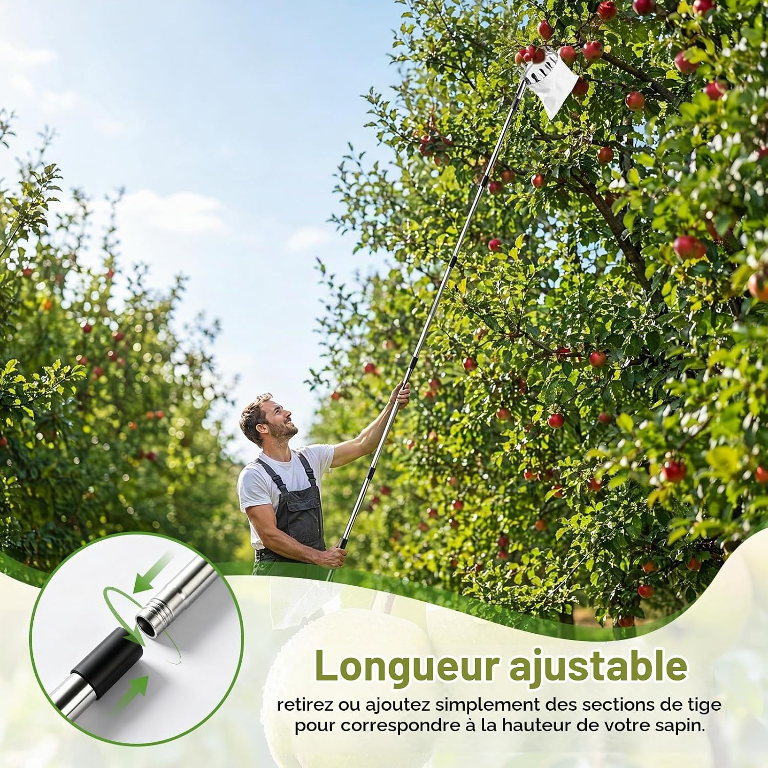 Detalle 1 de EclipseGuard telescopische fruitplukker tot 4,2 m met katoenen zak