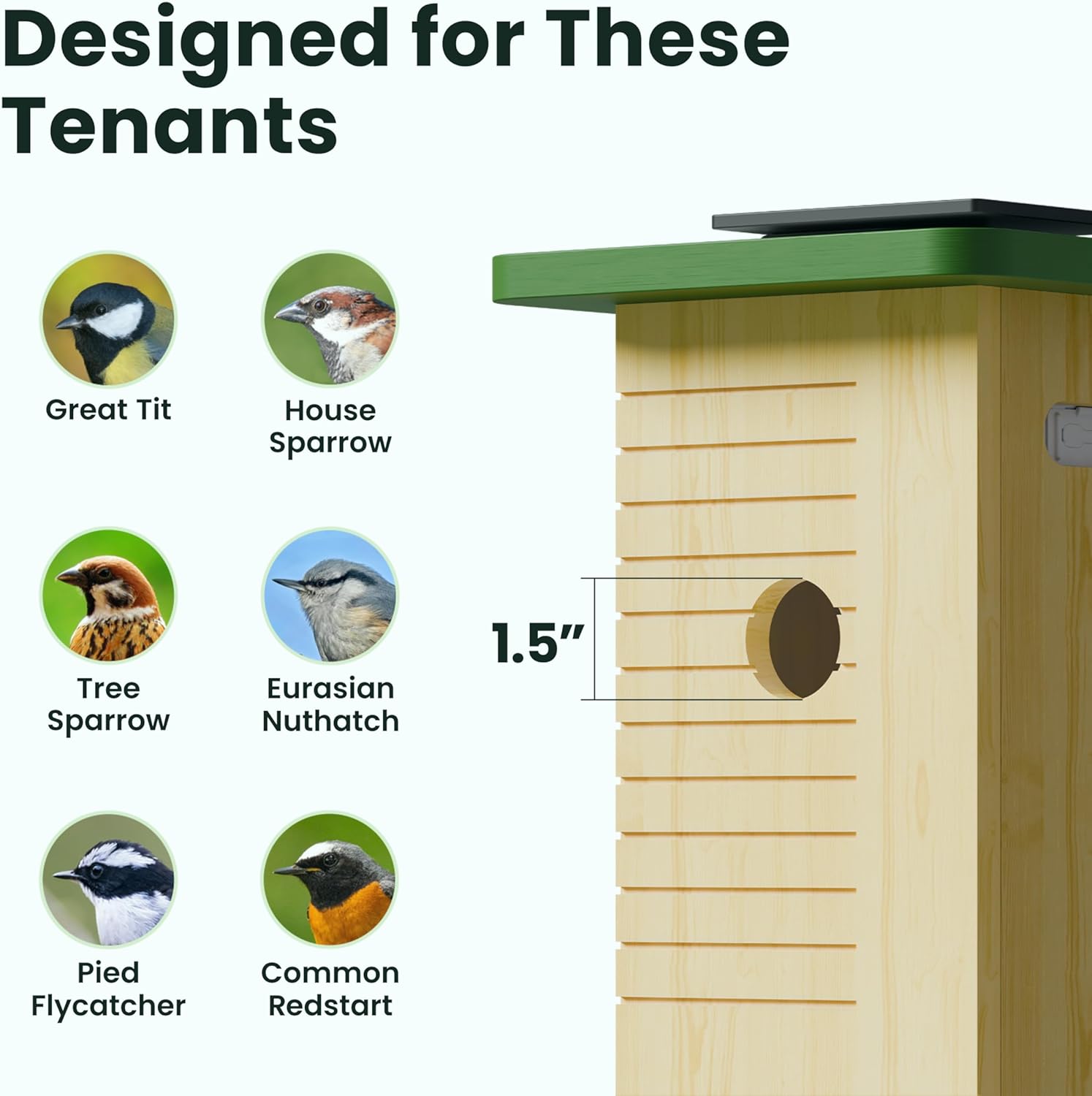 Detalle de Birdfy Smart Bird House with Camera – Solar Powered, 1080HD Live Video