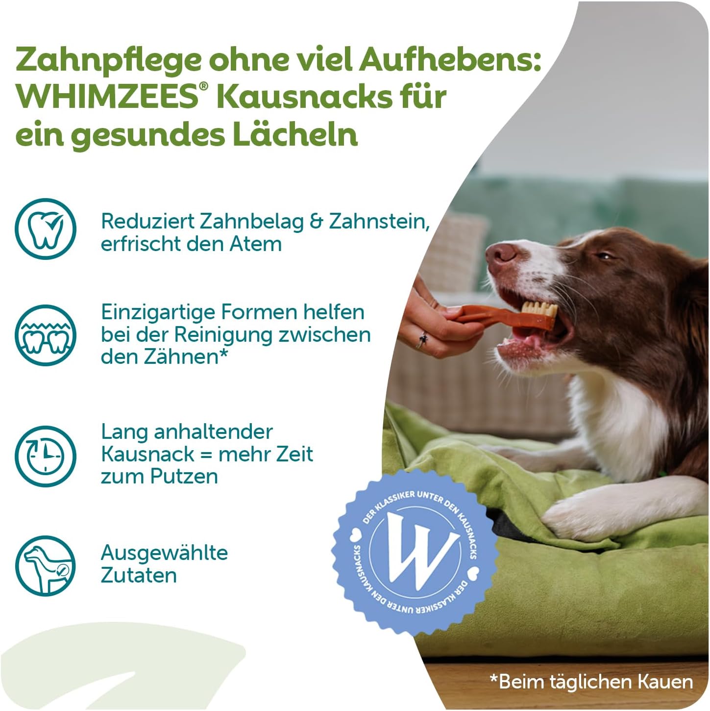 Detalle 2 de WHIMZEES Zahnbürste S 24 Stück