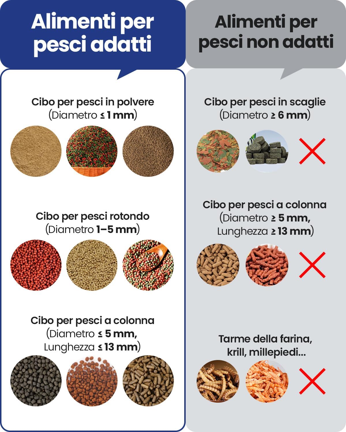 Detalle 2 de WOLMDS Mangiatoia Automatica Acquario 230 ml