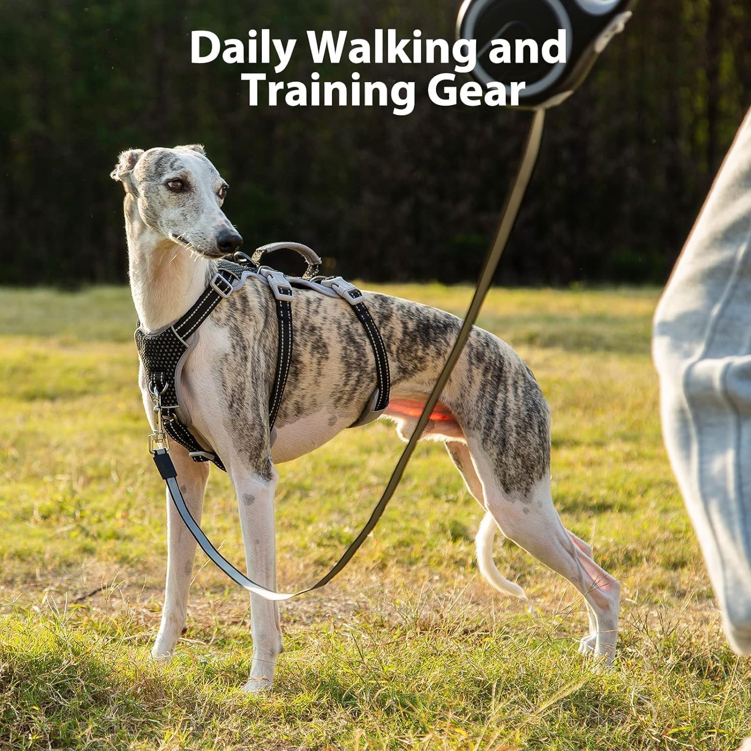 Thumbnail 6 de Huntboo Escape Proof Dog Harness (XS) – Reflective, Adjustable Vest with Handle