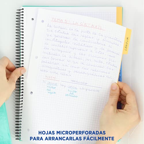 Detalle de Oxford Black N'Colours: pack de 2 cuadernos A4+ con 5 pestañas y cuadrícula 5x5