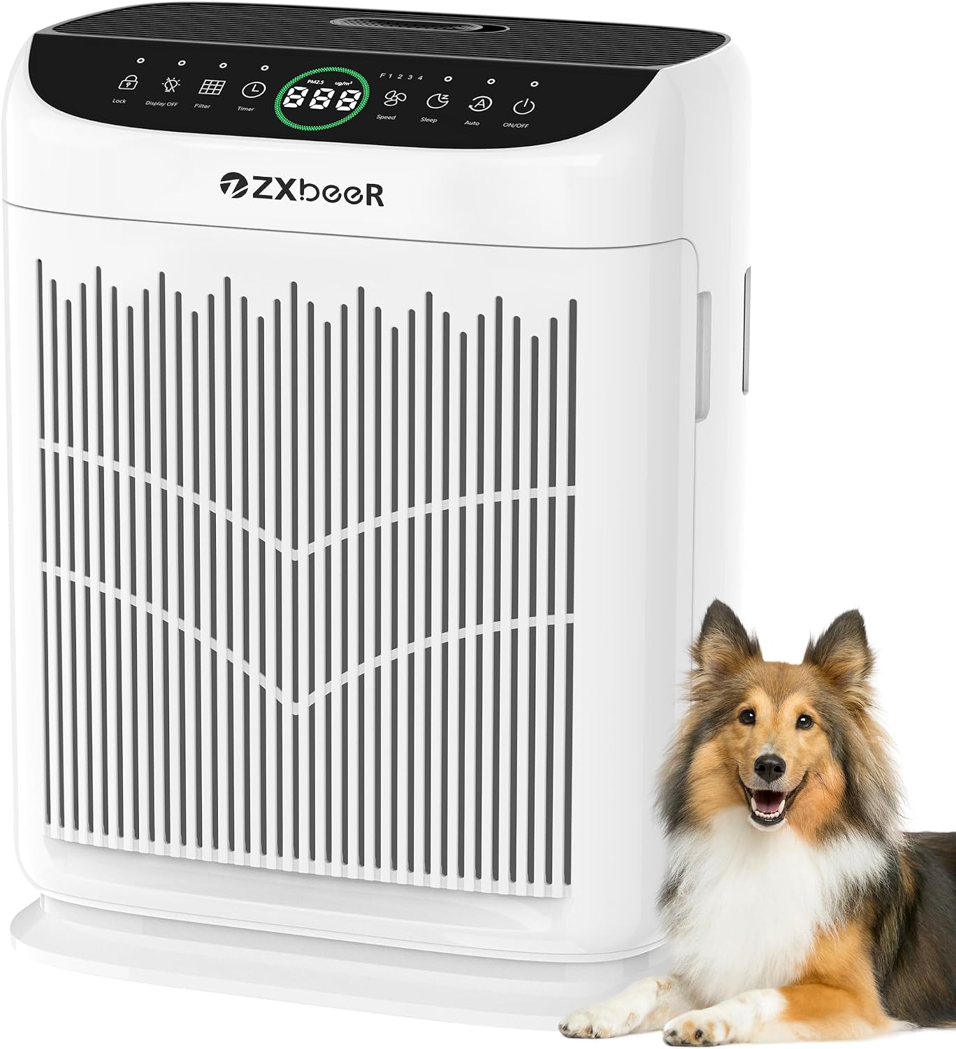 Detalle de ZXBEER HEPA Double-Sided Air Purifier