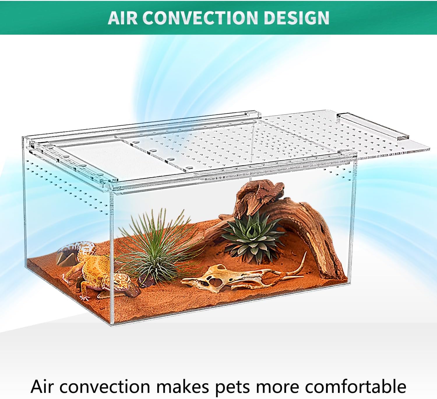 Detalle 2 de Reptile Terrarium Kit 12x7x6 inches: Magnetic Acrylic Enclosure for Small Pets