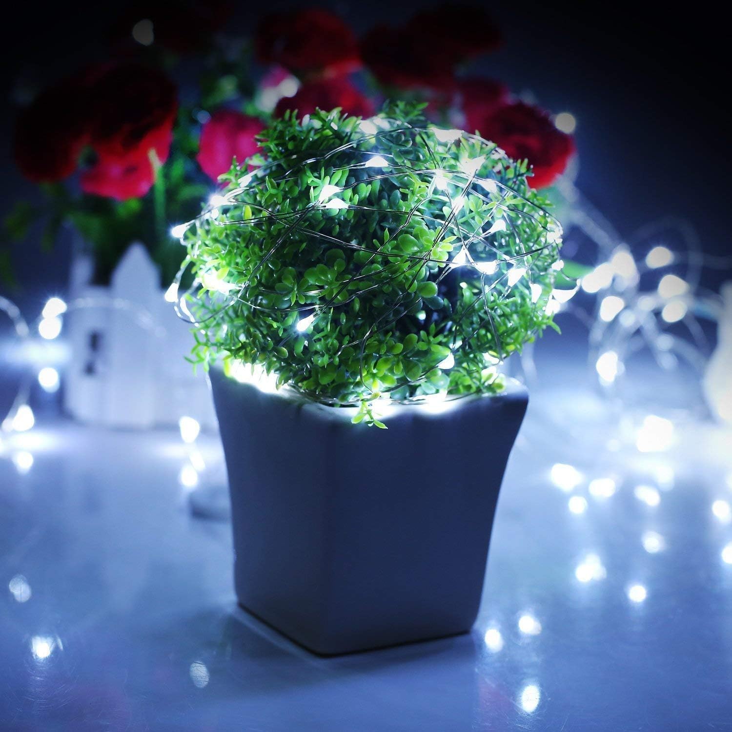 Detalle 2 de LeMorcy Bm24-53-0-1 Fairy Lights, 66 ft, 200 Warm White LEDs, Remote