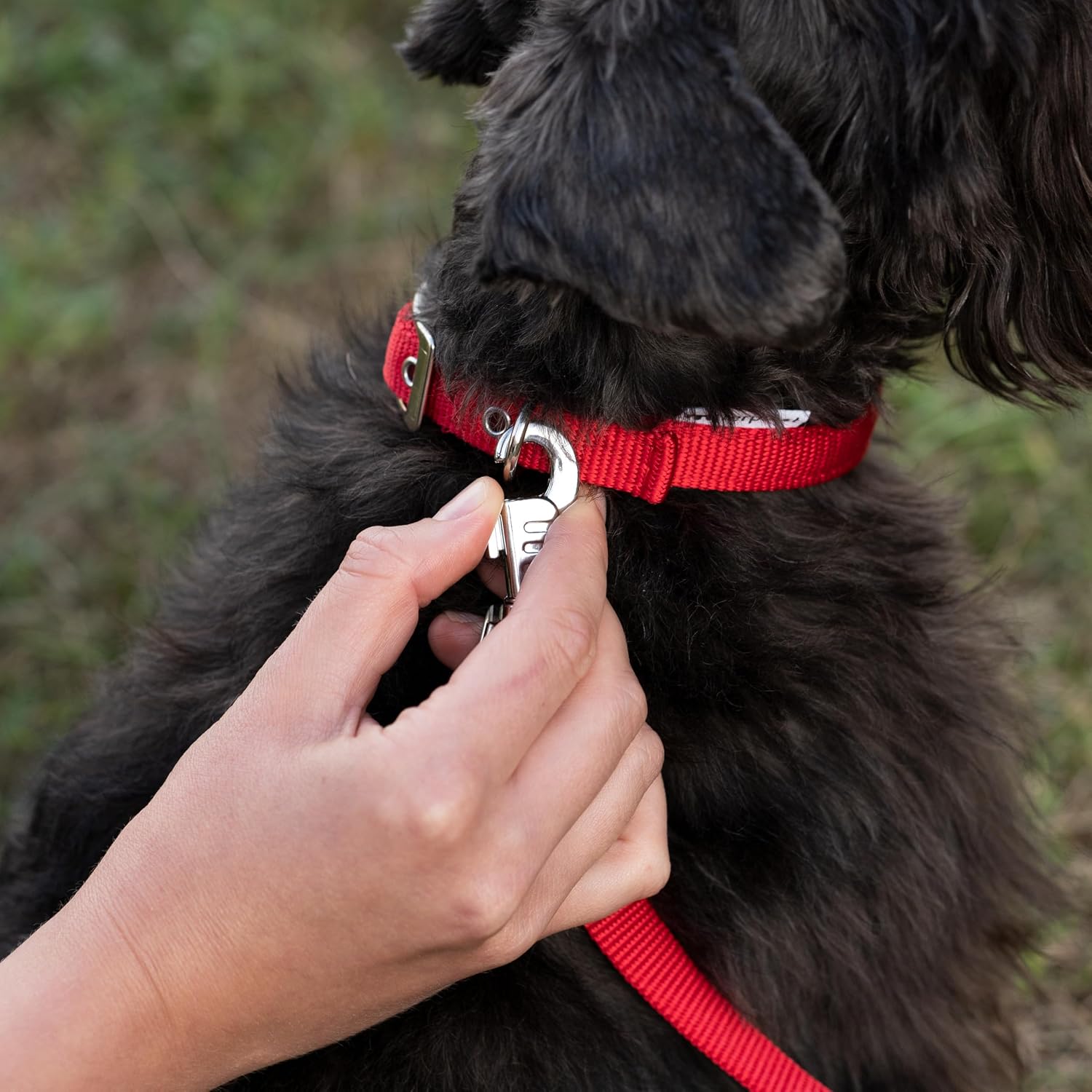 Detalle de Ferplast Collier pour chien 32-39 cm