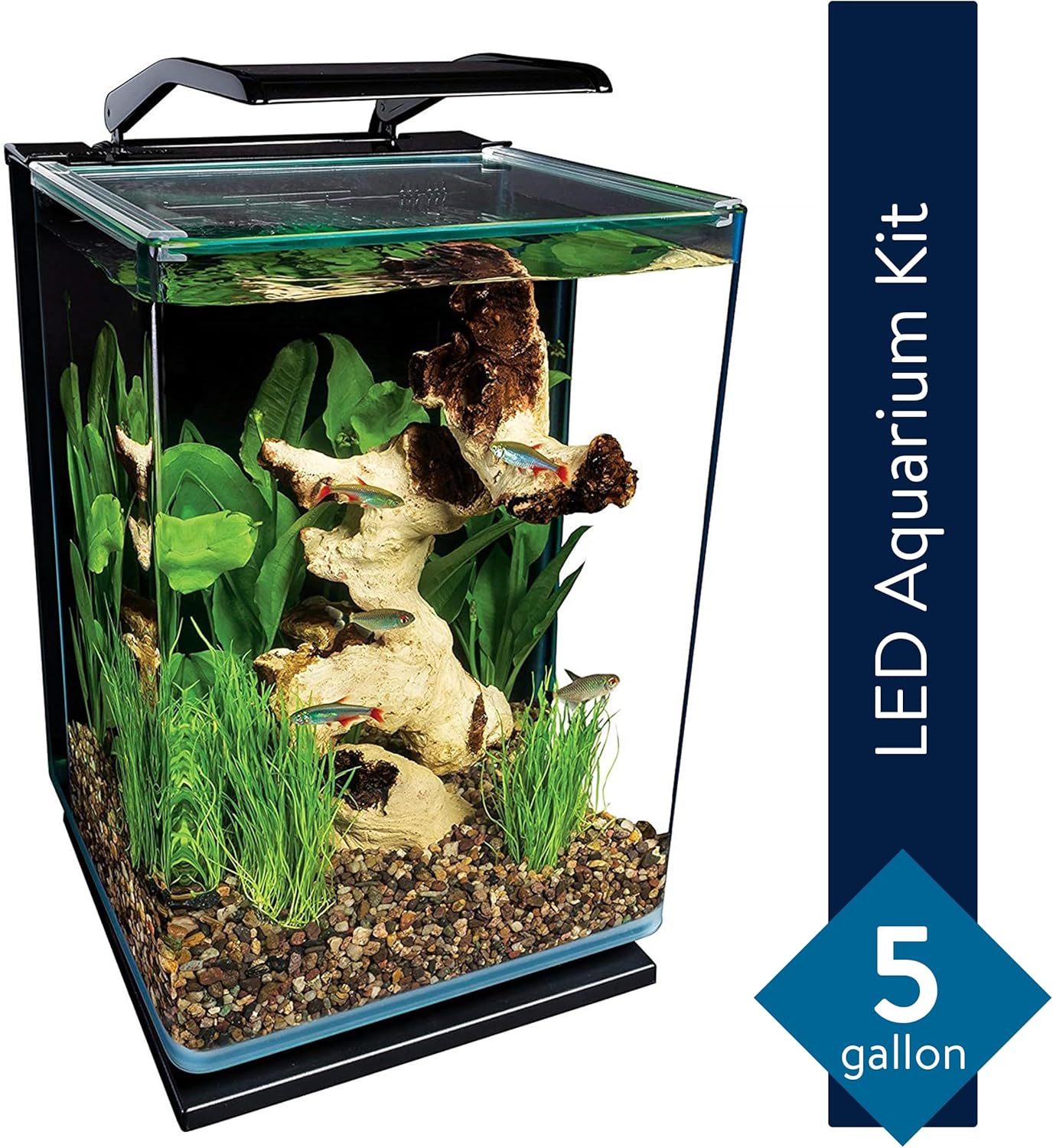 Detalle 2 de Marineland Portrait Glass LED Aquarium Kit, 5 Gallons, Hidden Filtration, Black