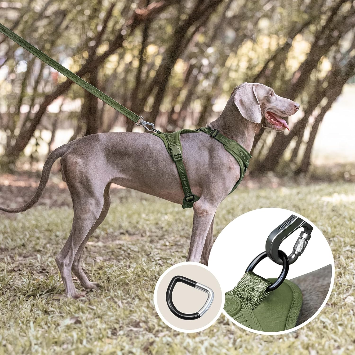 Thumbnail 6 de Sunraymascota Hundegeschirr mit weicher Lycra-Polsterung – atmungsaktiv, verstellbar, für alle Rassen