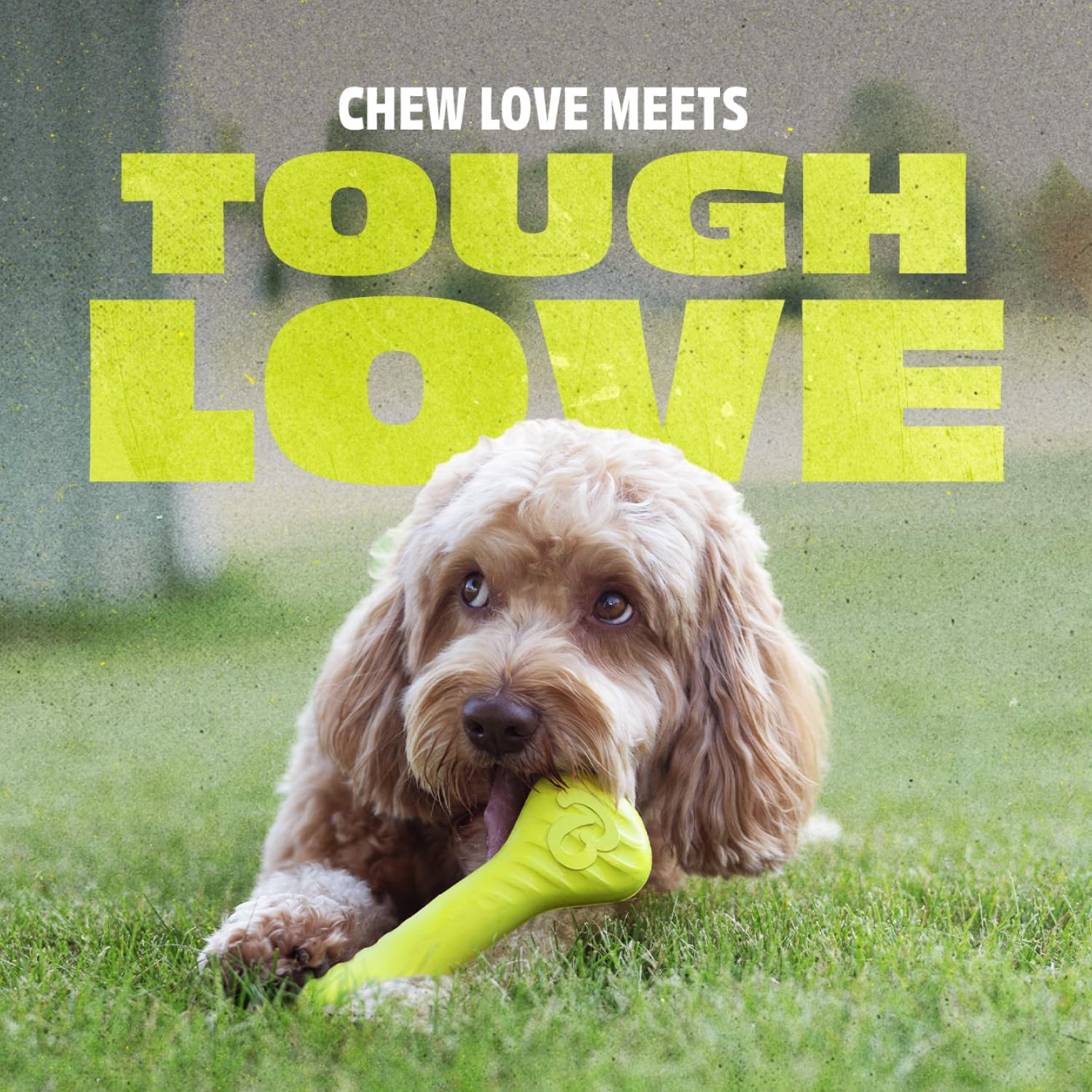 Thumbnail 1 de Benebone Natural Rubber Dog Bone Chew Toy – 100% Natural Rubber