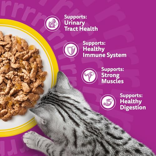 Thumbnail 6 de Whiskas Senior 7+ Wet Cat Food in Jelly – Poultry Feasts (40 x 85g)