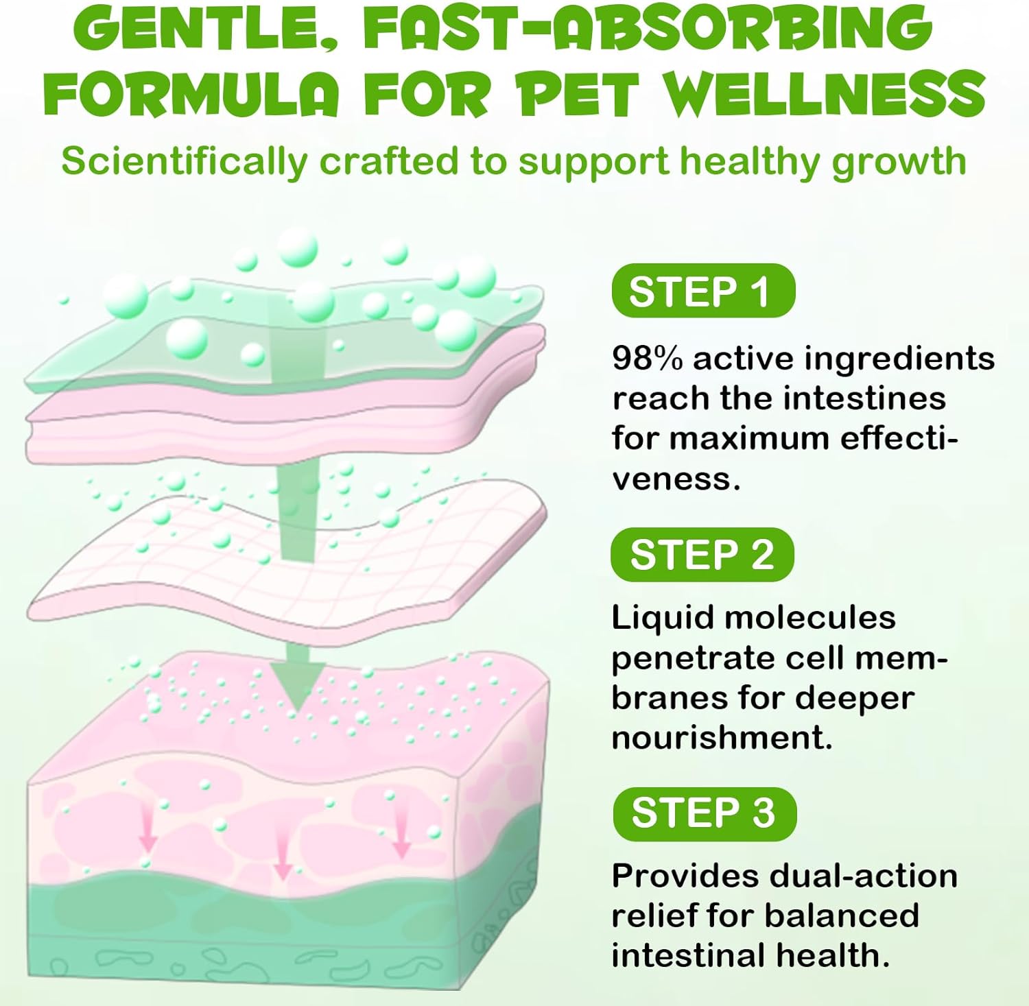 Thumbnail 6 de WANFAER Gocce Probiotiche 3 in 1 per Gatti 60 ml: probiotici con enzimi digestivi