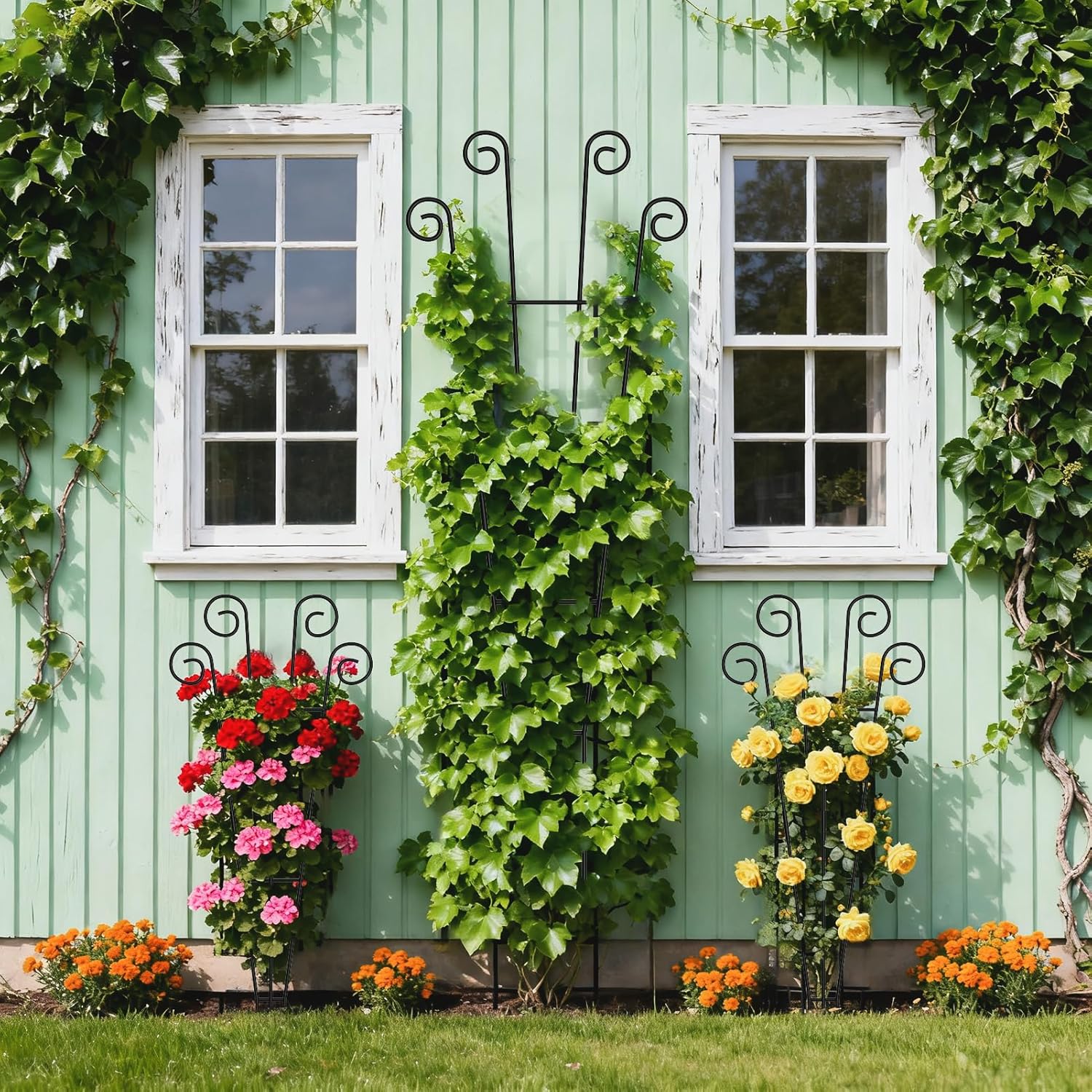 Thumbnail 5 de WELDUN 4 Pack 75cm Metal Plant Trellis Stakes for Climbing Plants (Indoor & Outdoor)