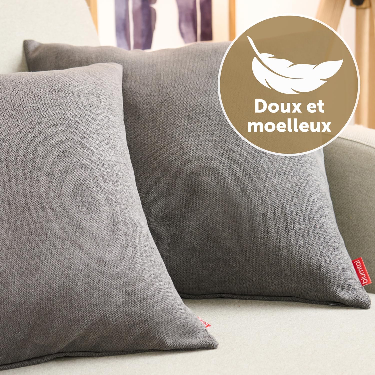 Detalle de Blumtal Housse de Coussin 50x50 cm, 2 pièces en chenille douce - Anthracite