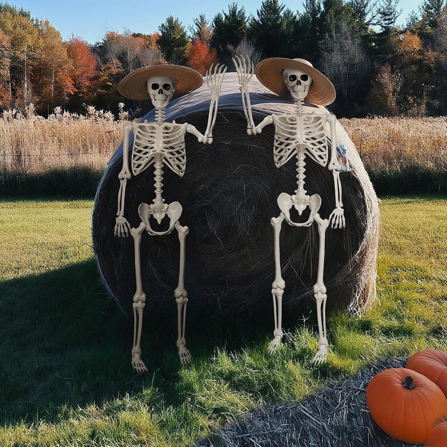 Detalle 2 de Crogift SK1656 5.4 ft Poseable Life-Size Plastic Skeleton