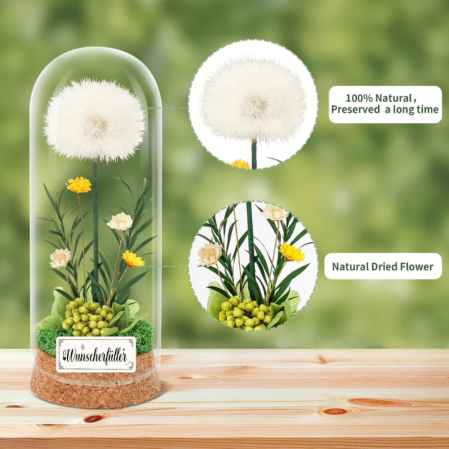 Detalle 2 de Wunscherfüller Pusteblume im Glas (16 x 6 cm) – Geldgeschenk als Glücksbringer für Frauen