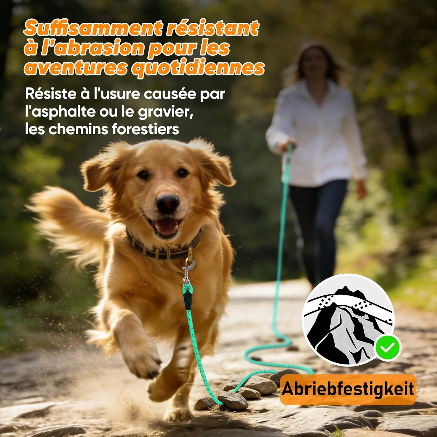 Detalle 2 de Aystkniet longe pour chien avec crochets pivotants, laisse de dressage en corde (jusqu’à 20 m)