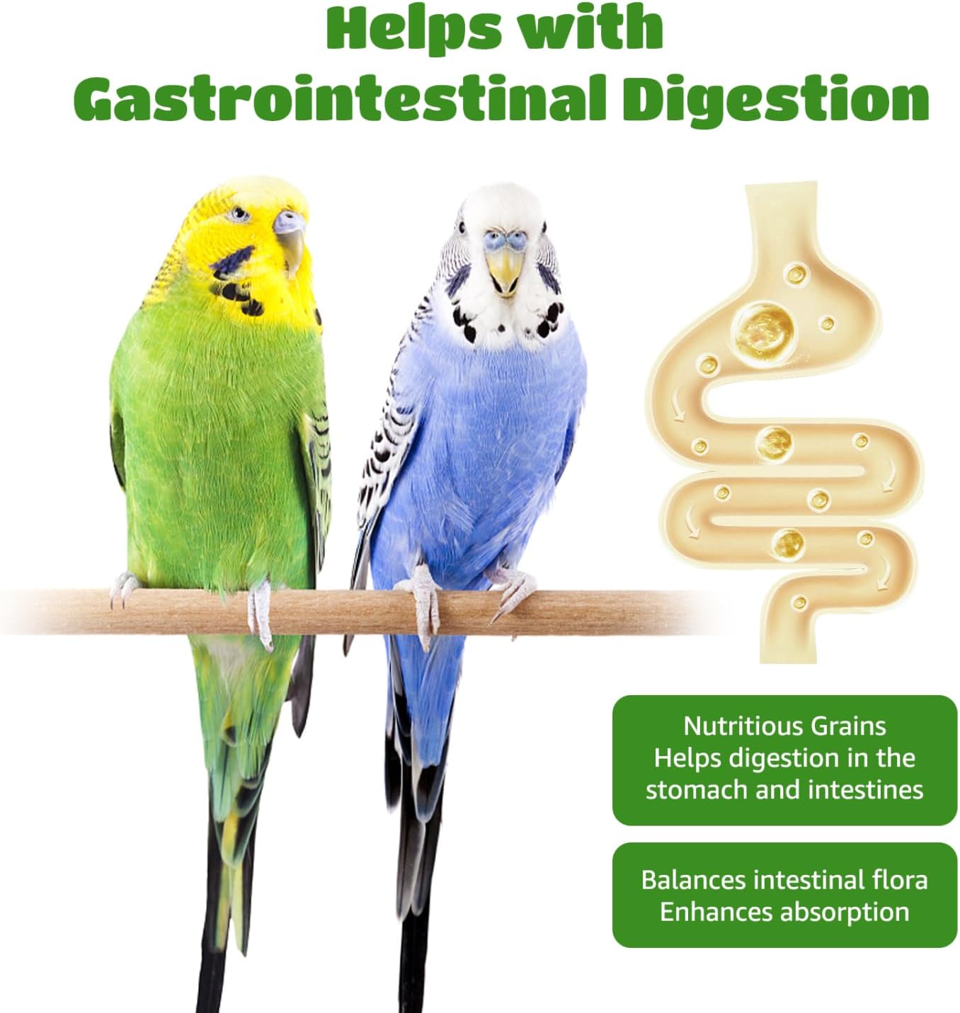 Thumbnail 4 de Nobleza cibo per pappagallino 500 g: mangime premium multicereali per piccoli uccelli