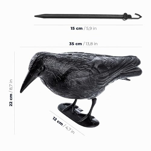 Detalle de KADAX Set di 2 Corvi Scaccia Piccioni – Deterrenti in Plastica per Balcone e Giardino