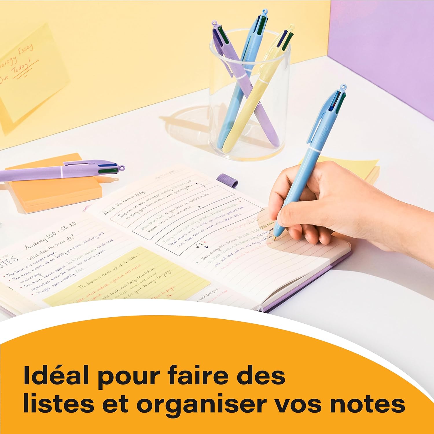 Thumbnail 6 de BIC 4 Couleurs Pastel — Stylos-Bille Pointe Moyenne 1,00 mm (Pack de 6)