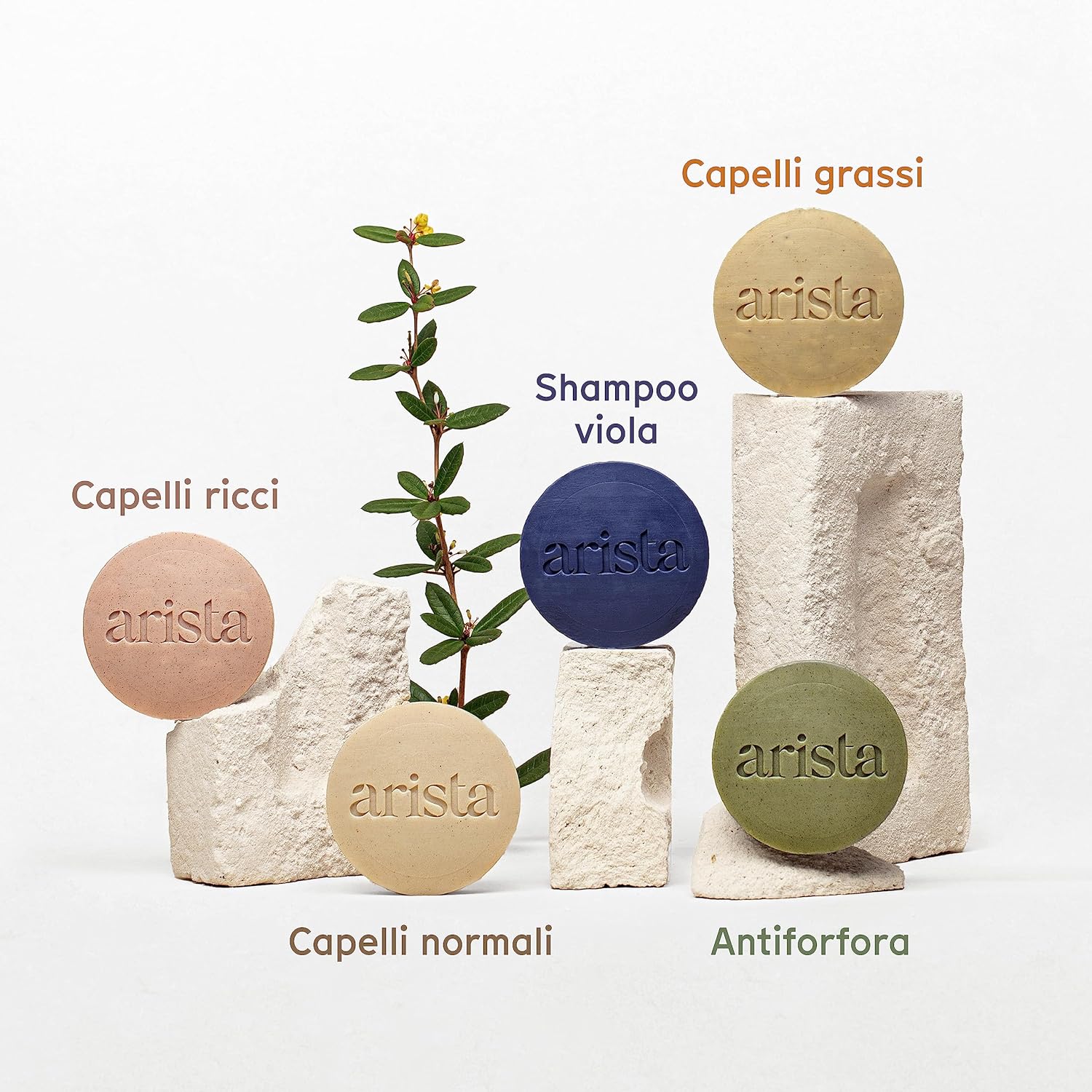 Thumbnail 6 de Arista Ayurveda Shampoo Solido per Capelli Grassi con Frutto di Sidr, Jojoba e Argilla Gialla (80 g)