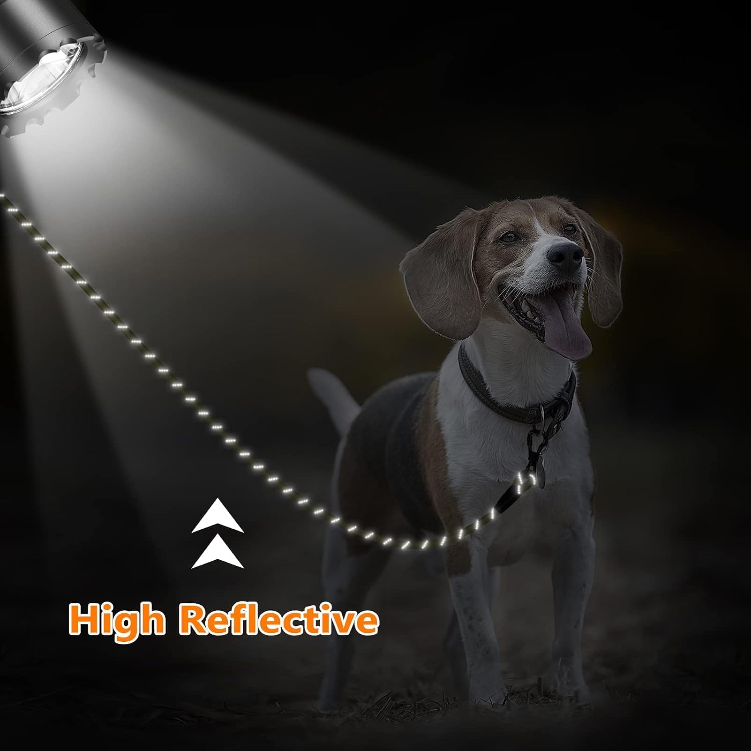Thumbnail 4 de Aystkniet Reflective Training Lead 5–30m