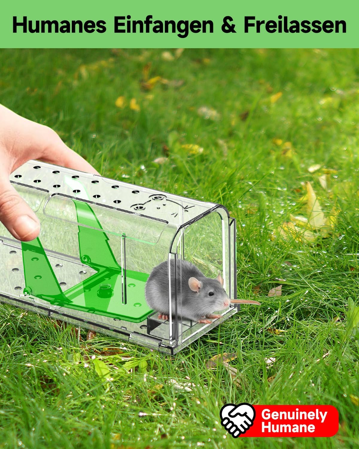 Thumbnail 1 de Lebendfalle Maus 2er Set Hochsensibel