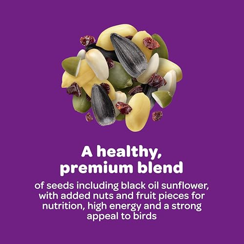 Detalle 2 de Kaytee Nut & Fruit Wild Bird Seed, 5 lb: A Versatile Backyard Blend for Colorful Visitors