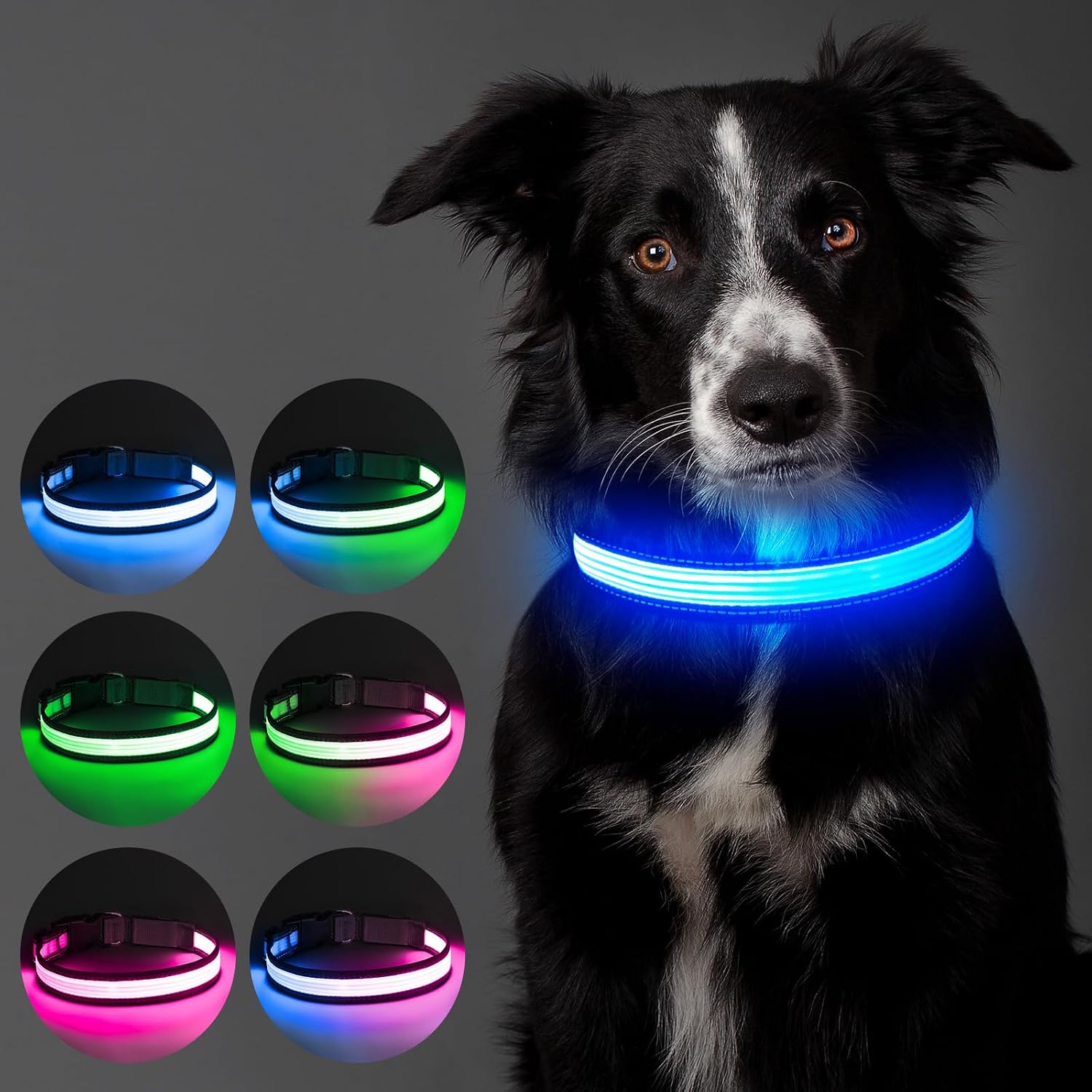 Thumbnail 6 de Leuchtendes Hundehalsband 7 Modi đ