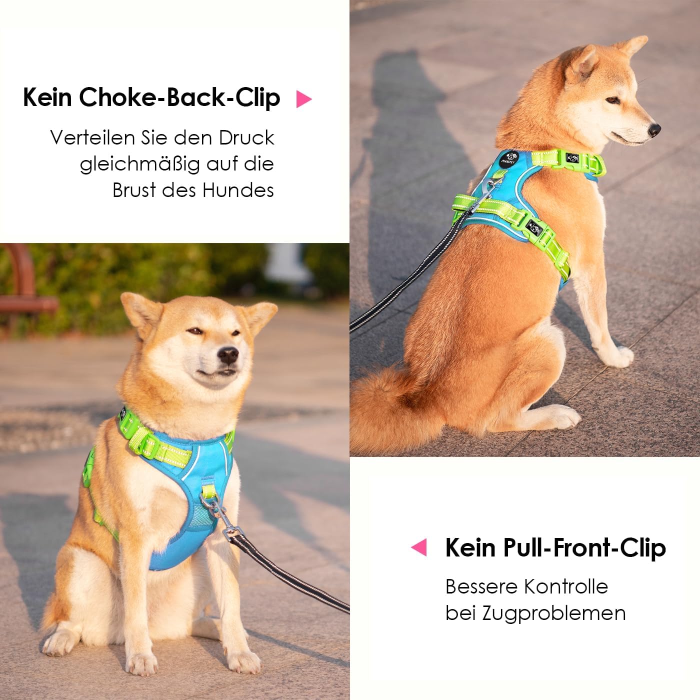 Thumbnail 2 de PHOEPET Anti-Zug Hundegeschirr mit Reflektoren (verstellbar, Schnellverschluss, XL) – blaues Grundteil & grüne Träger
