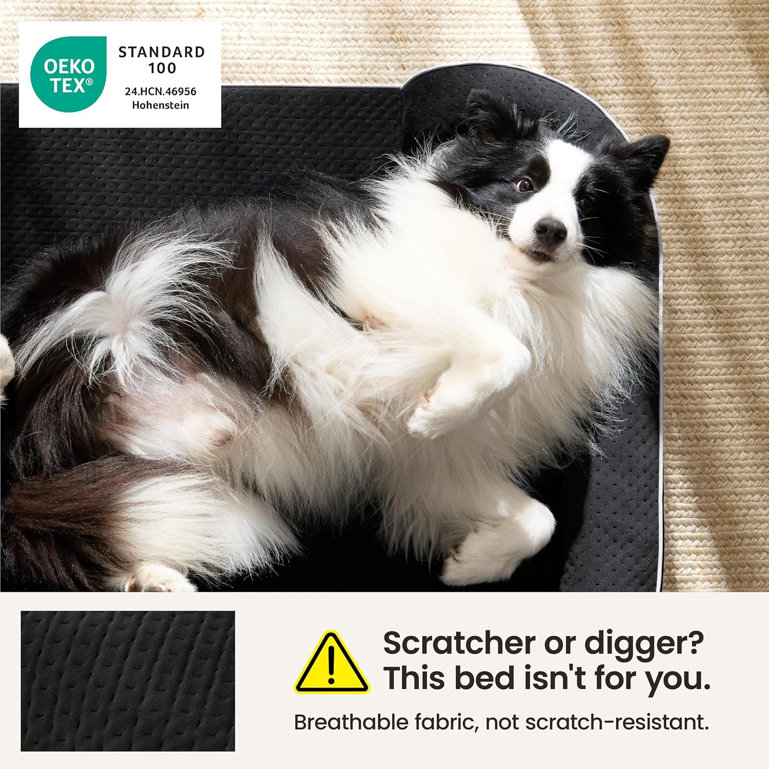 Detalle 2 de LE SURE RealOrtho™ XL Plus Dog Bed, 3-Layer Orthopedic Foam, 48-Inch, Black